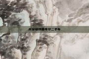 长安福特嘉年华二手车