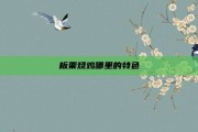 板栗烧鸡哪里的特色