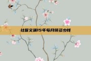 社保交满15年每月领多少钱