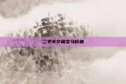 二手车华晨宝马价格