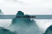 mini二手车能不能买