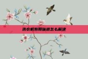 洗衣机有股味道怎么解决