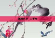 速腾2.0 二手车