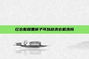 红衣服和黑裤子可以放洗衣机洗吗