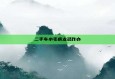 二手车小毛病太多咋办