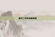 瓜子二手车水深不深