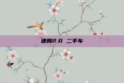 速腾2.0 二手车