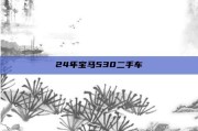 24年宝马530二手车