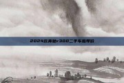 2024款奔驰r300二手车指导价