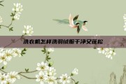 洗衣机怎样洗羽绒服干净又蓬松