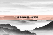 二手车连牌照一起买吗