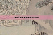 白鸭绒羽绒服能用洗衣机洗吗