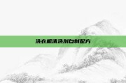 洗衣机清洗剂自制配方