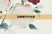 白茶属于什么茶