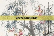 鞋子可以丢洗衣机吗