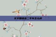 买丰田锐志二手车怎么样