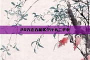 20万左右能买个什么二手车