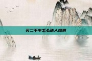 买二手车怎么请人检测