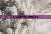 五万左右能买到什么样的二手车