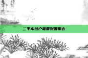 二手车过户需要到哪里去
