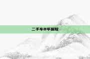 二手车8年保险