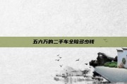 五六万的二手车全险多少钱
