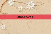明锐1.8t二手车