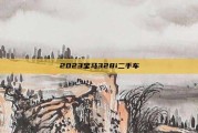 2023宝马328i二手车
