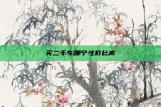 买二手车哪个性价比高