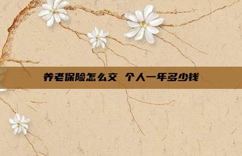 养老保险怎么交 个人一年多少钱