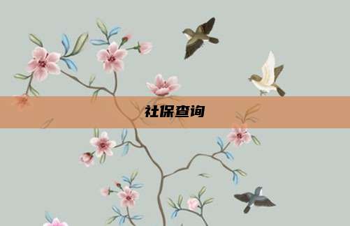 社保查询