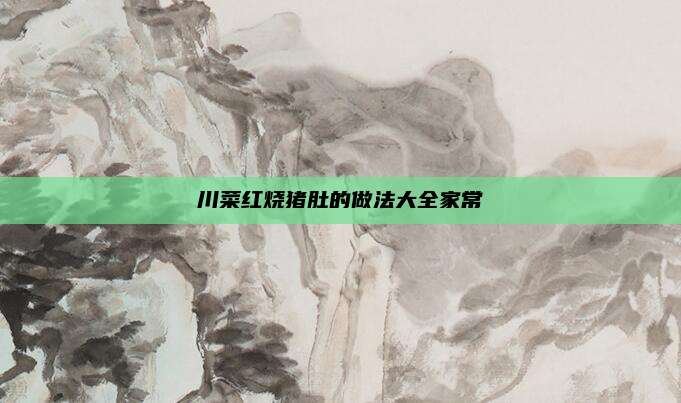 川菜红烧猪肚的做法大全家常