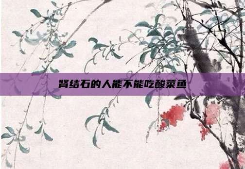 肾结石的人能不能吃酸菜鱼