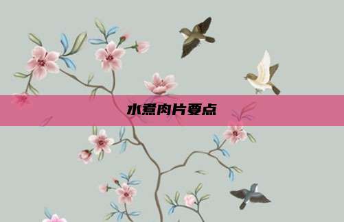 水煮肉片要点