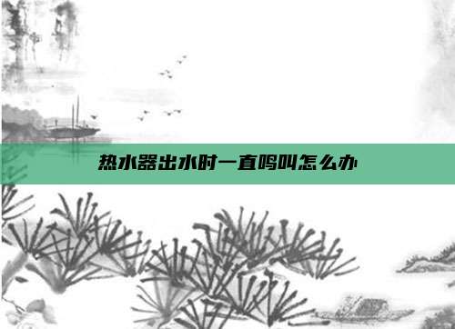 热水器出水时一直鸣叫怎么办