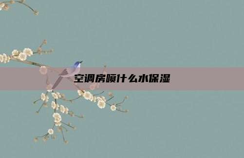 空调房喷什么水保湿