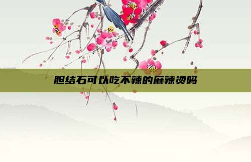 胆结石可以吃不辣的麻辣烫吗