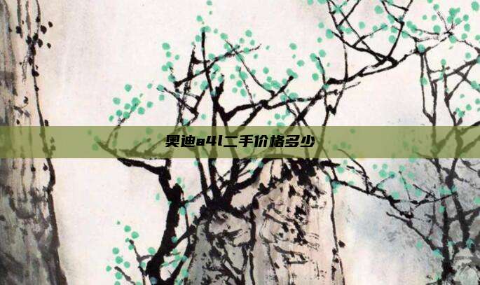 奥迪a4l二手价格多少