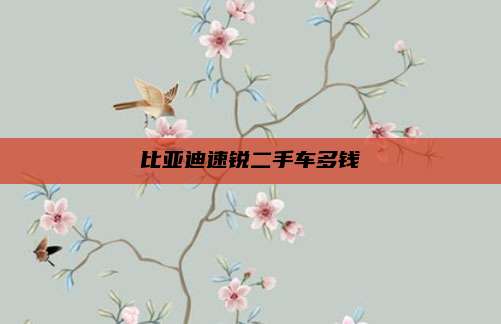 比亚迪速锐二手车多钱