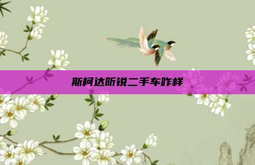 斯柯达昕锐二手车咋样