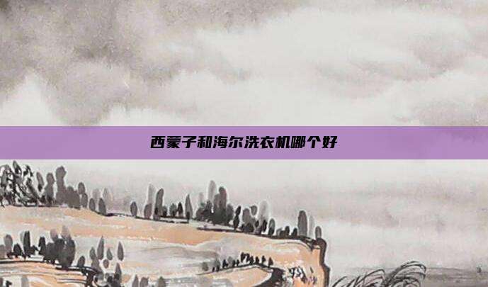 西蒙子和海尔洗衣机哪个好