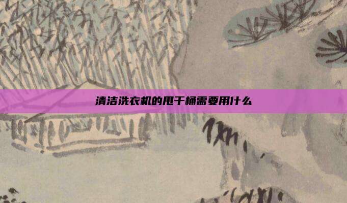 清洁洗衣机的甩干桶需要用什么