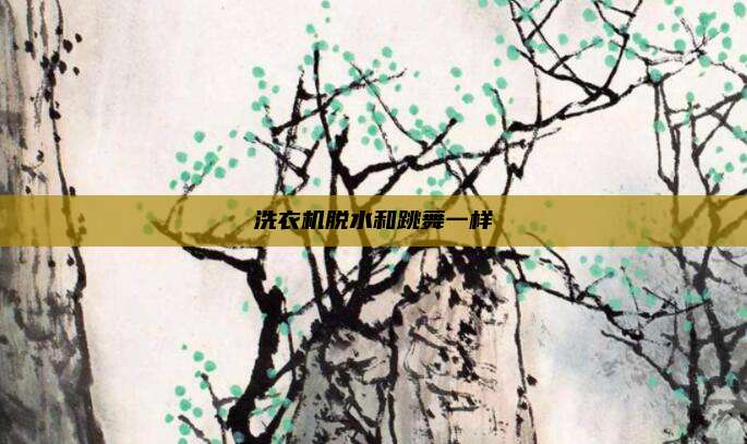 洗衣机脱水和跳舞一样