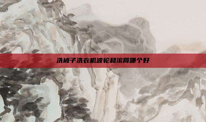 洗被子洗衣机波轮和滚筒哪个好