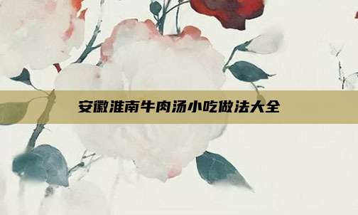 安徽淮南牛肉汤小吃做法大全