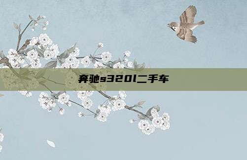 奔驰s320l二手车