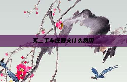 买二手车还要交什么费用