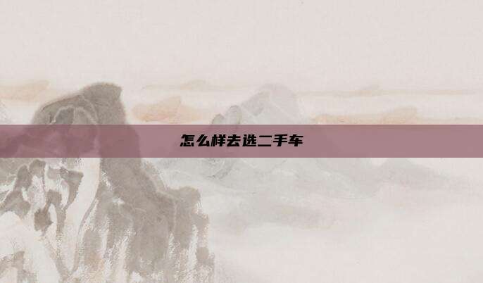 怎么样去选二手车