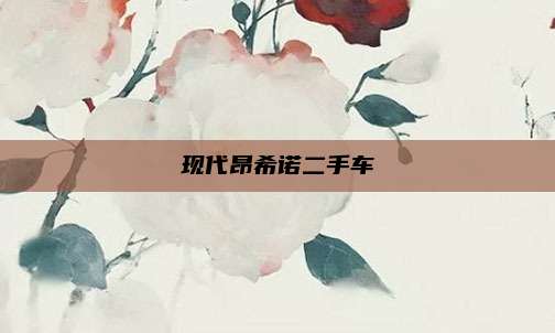 现代昂希诺二手车