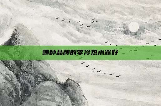 哪种品牌的零冷热水器好
